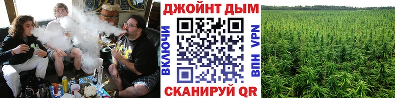 shop клад купить наркоту Новосиль Конопля VHQ